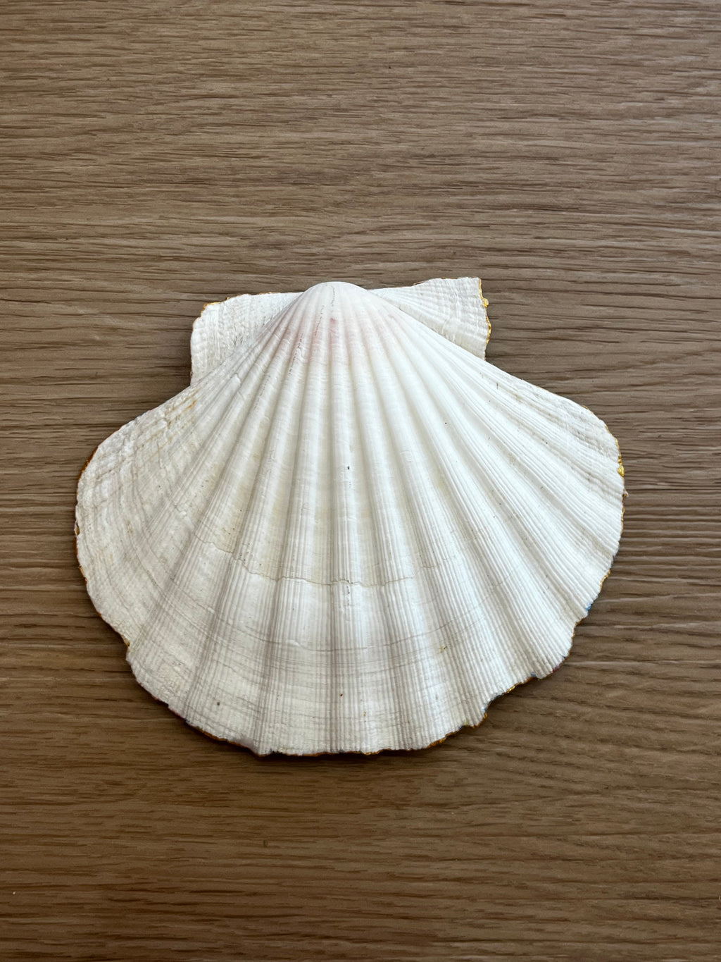 Coquille st Jacques flowertruck