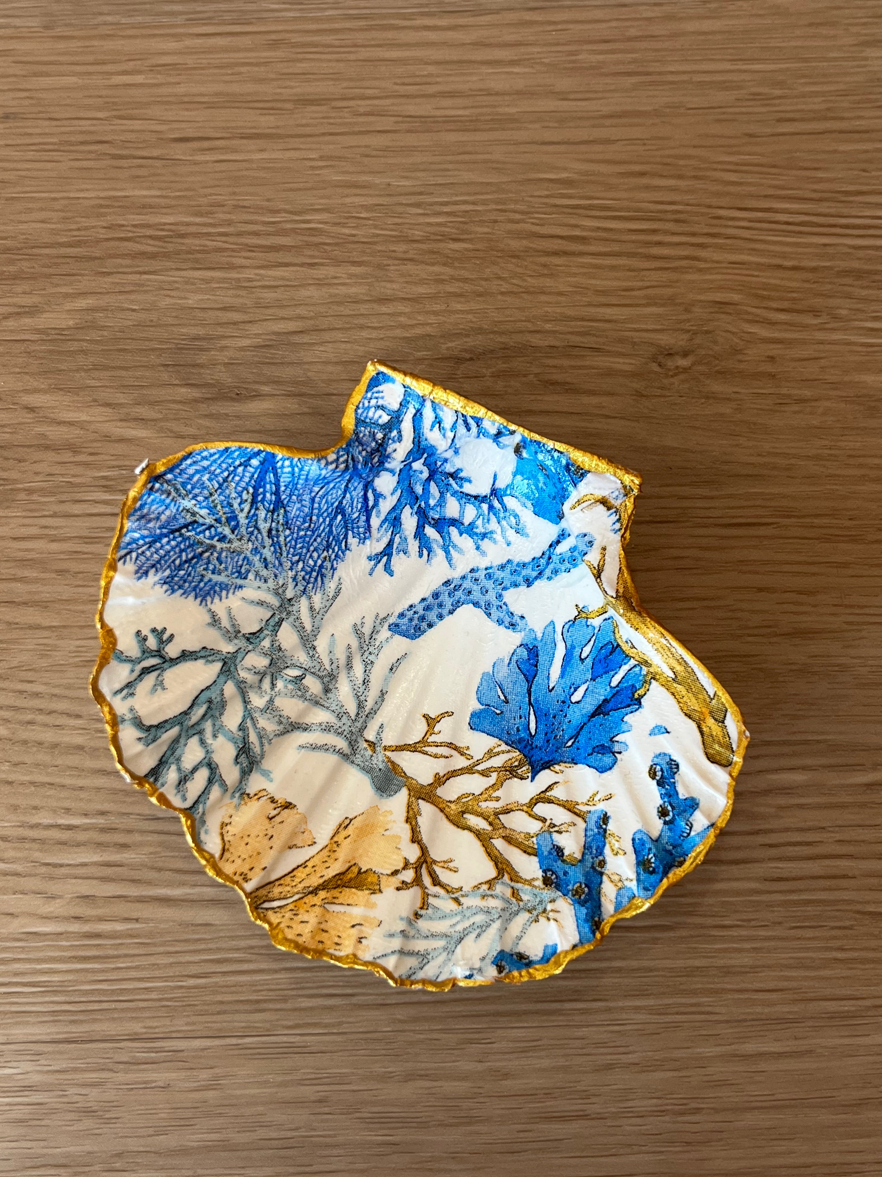 Coquille St Jacques coraux bleus