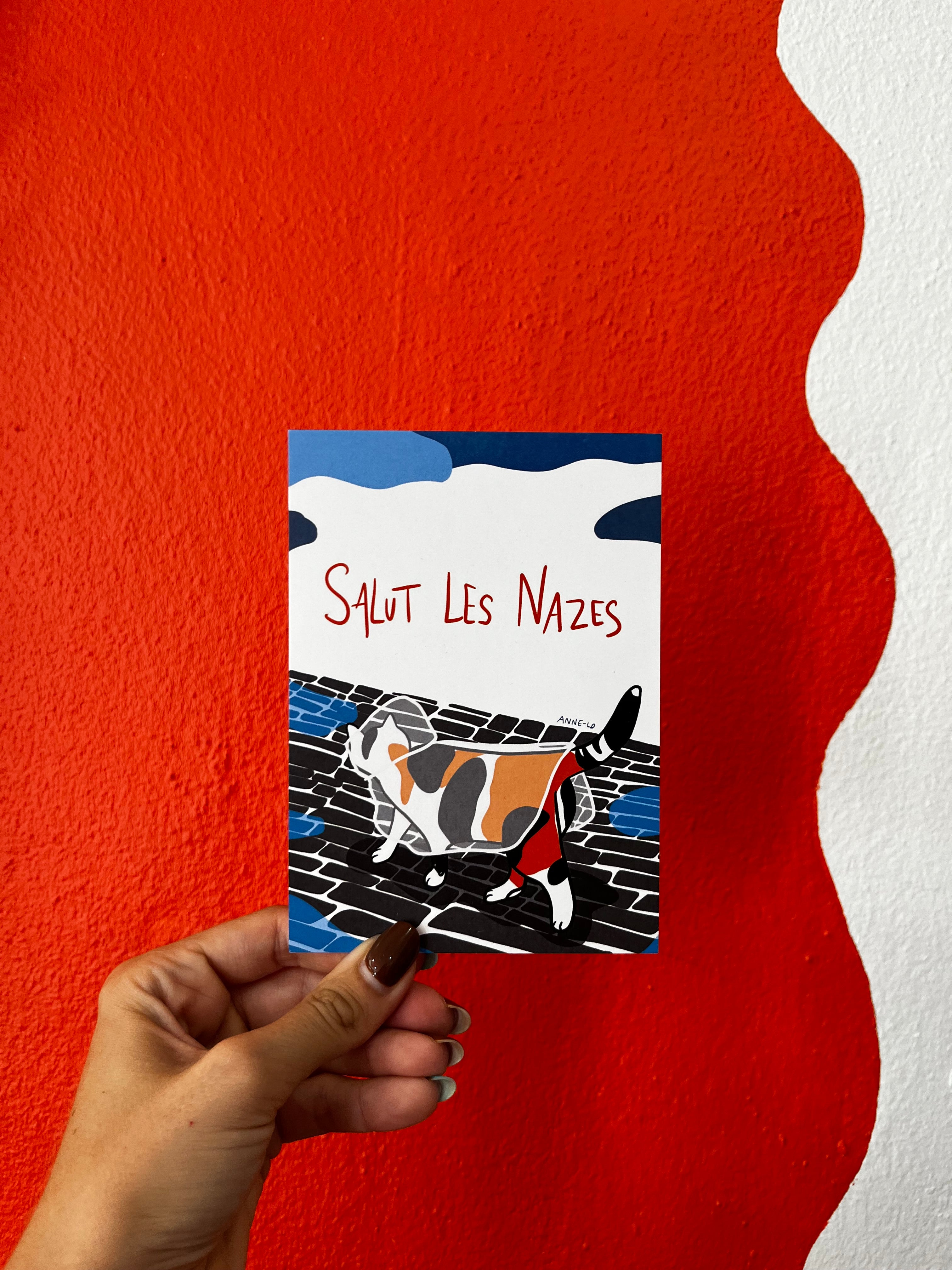Carte postale salut les nazes